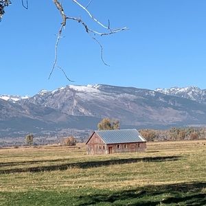 Meet your Posher, Debra